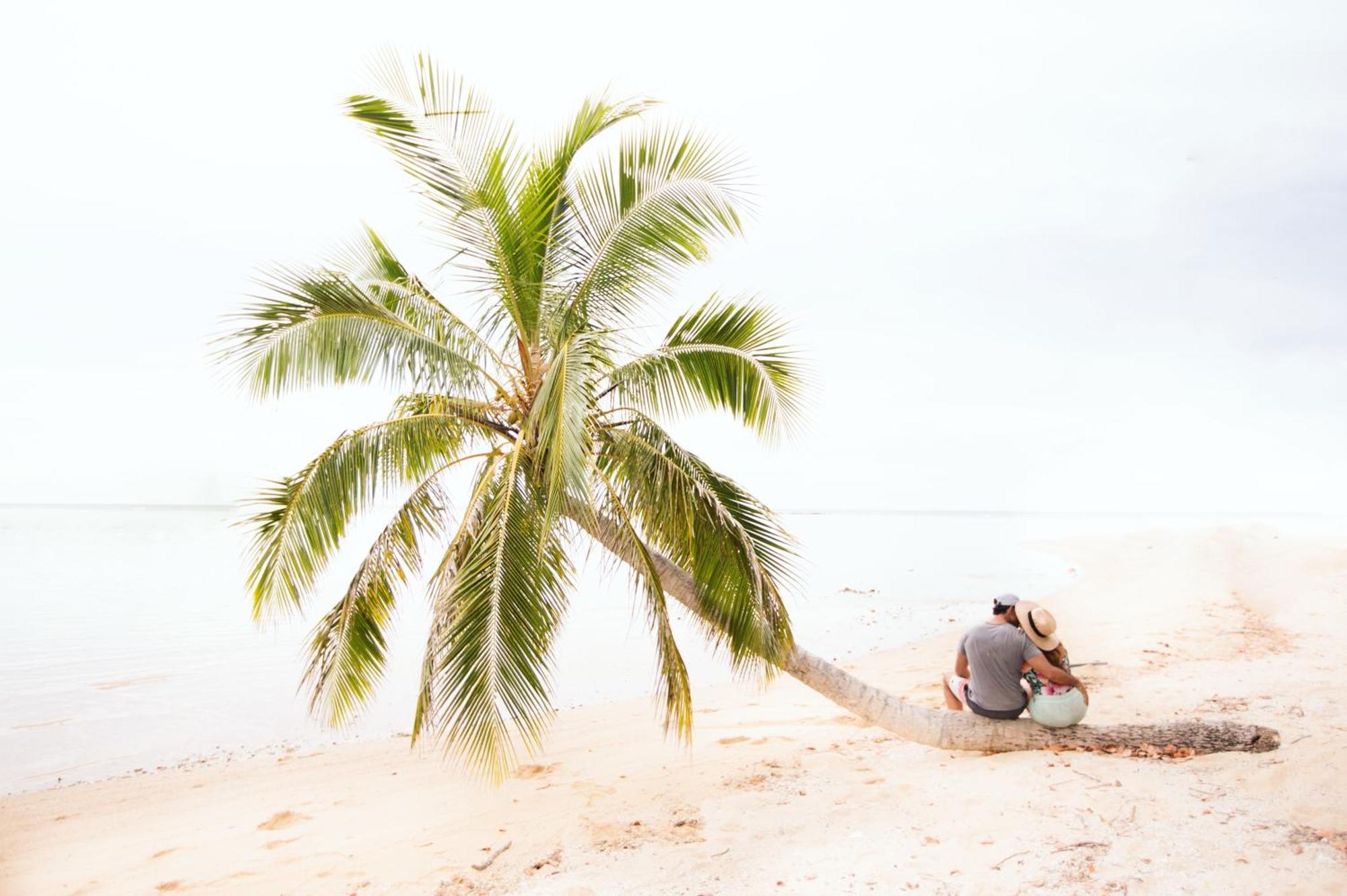 Koro Sun Resort & Rainforest Spa Savusavu Ngoại thất bức ảnh