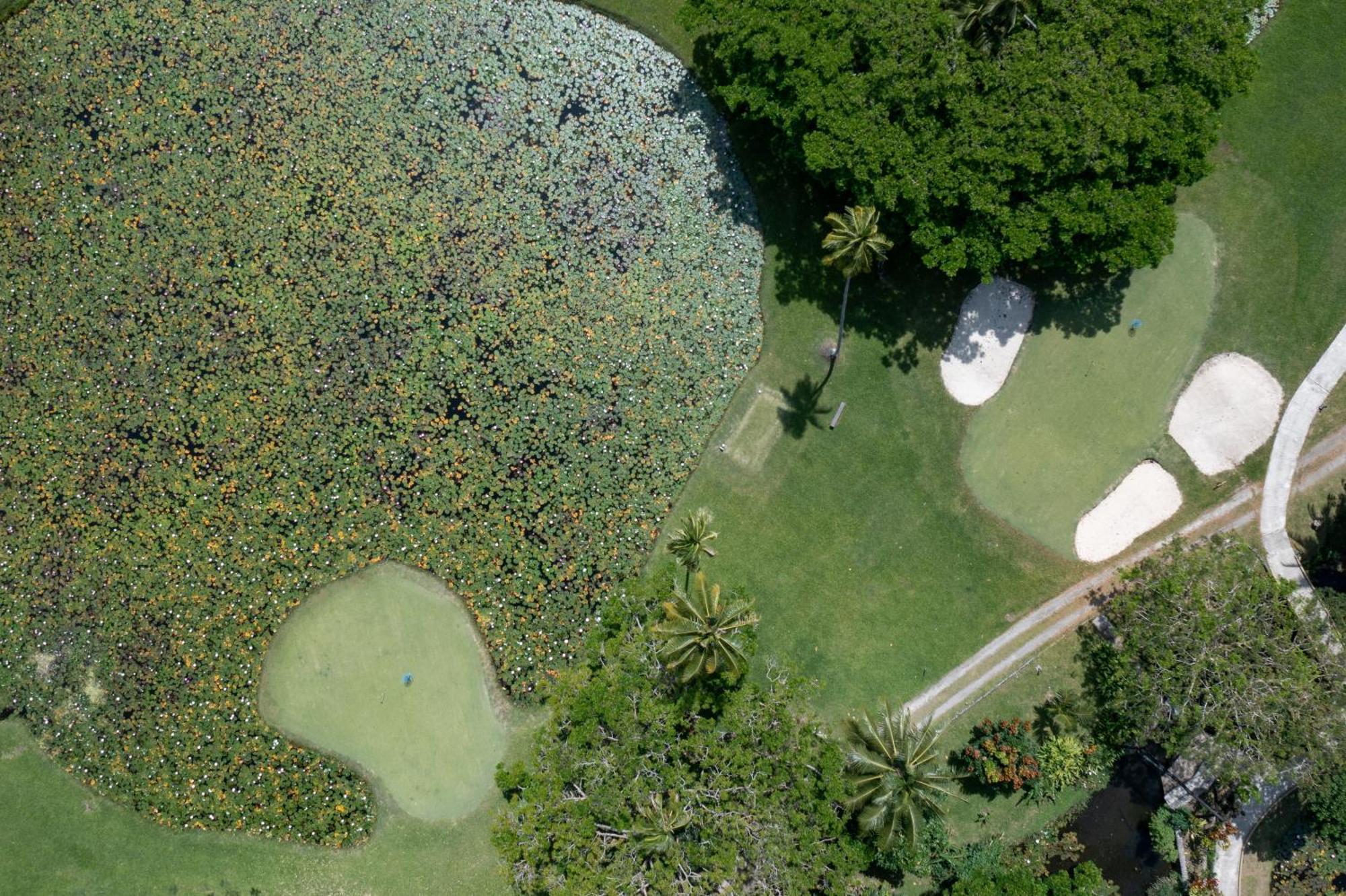 Koro Sun Resort & Rainforest Spa Savusavu Ngoại thất bức ảnh